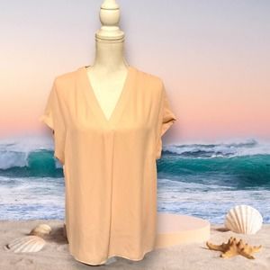 Ralph Lauren soft pink sheers blouse 1x